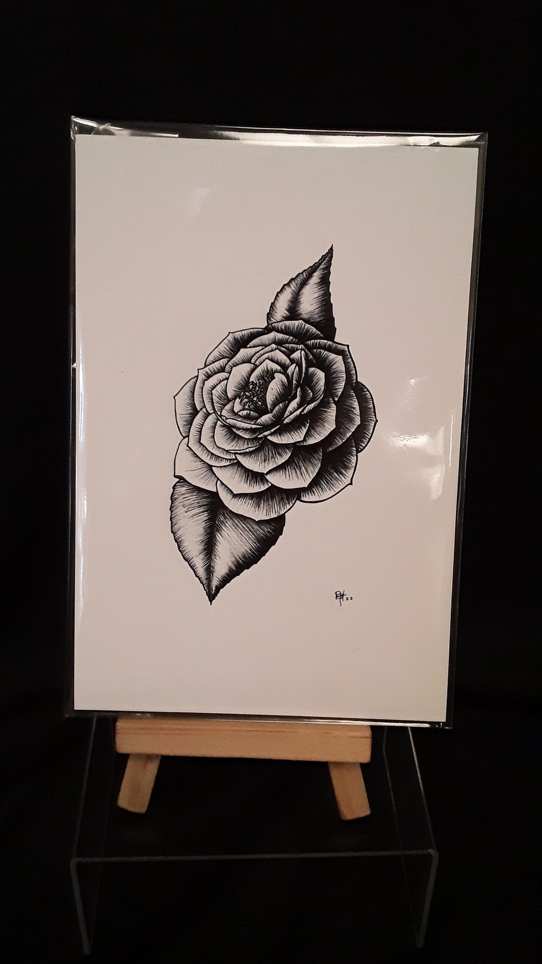 4x6 Print- Camellia