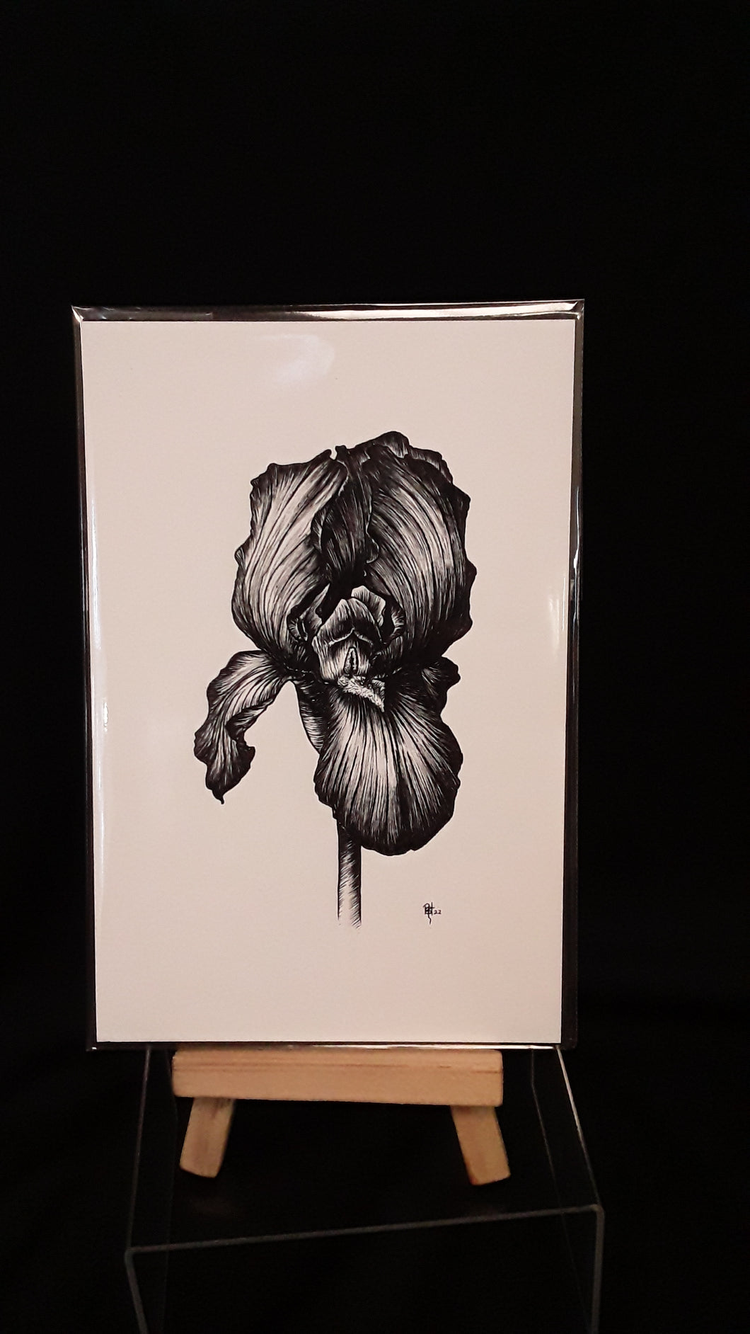 4x6 Print- Iris