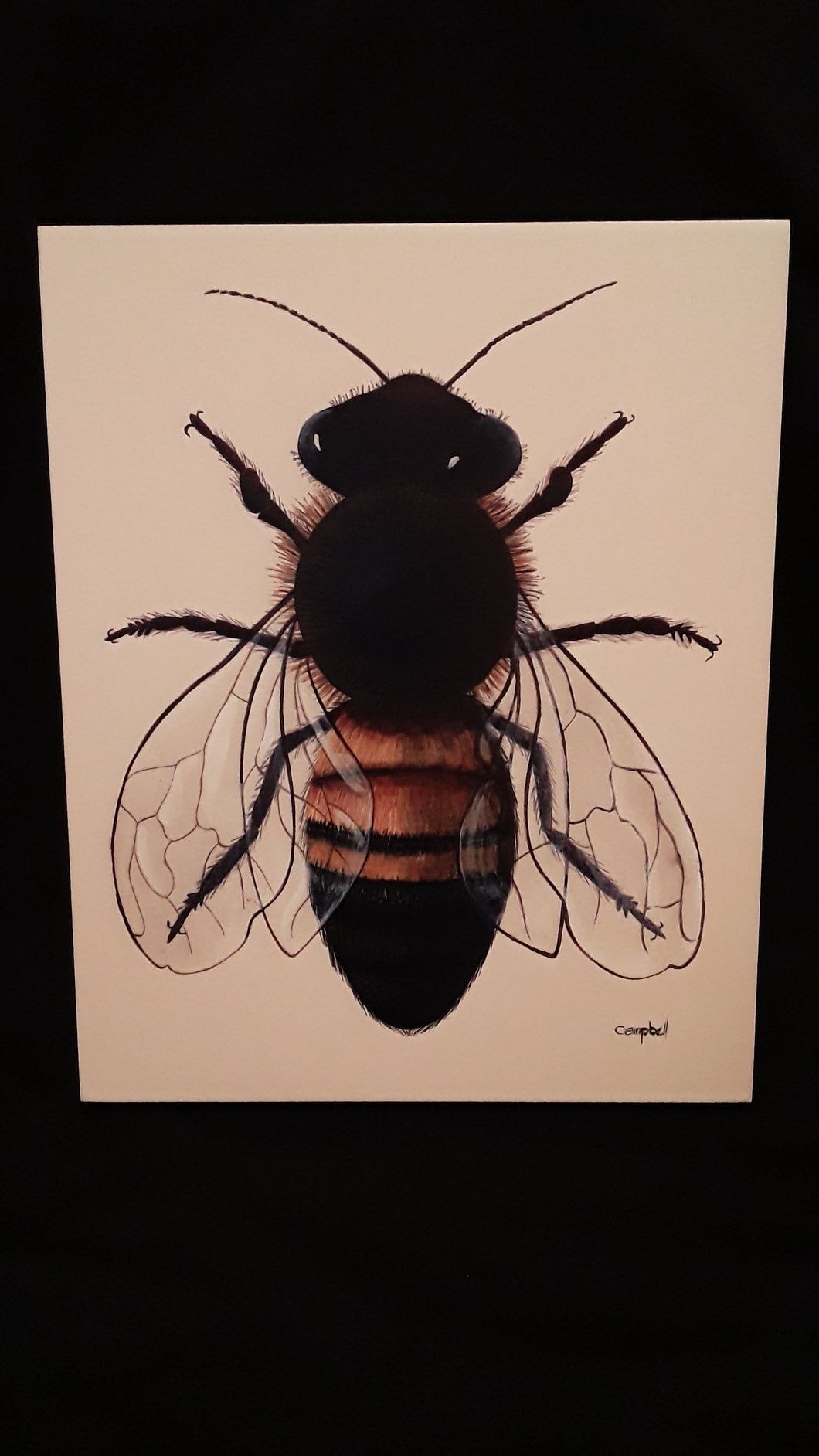 Box Print- Honey Bee 8x10