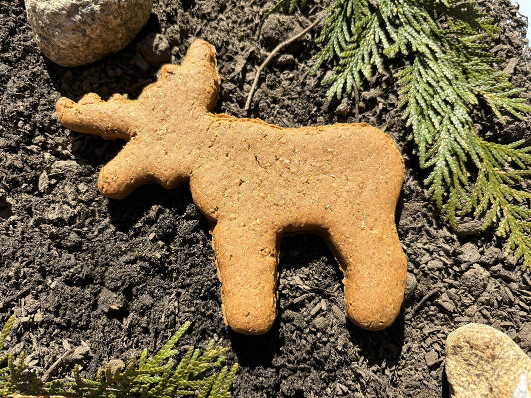 Dog Treat- Parm Moose