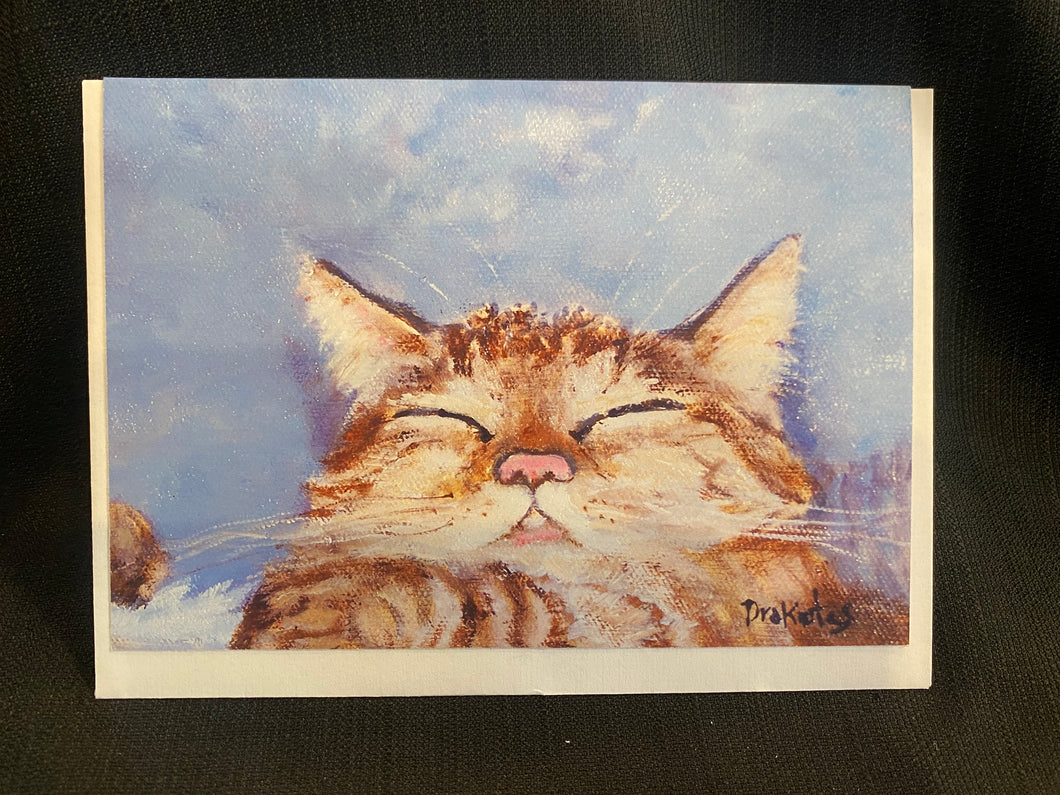 Card- Cat Nap Lg-large