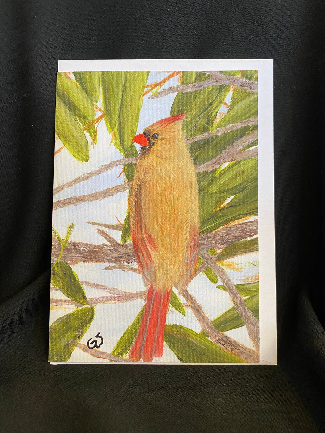 Card- Lady Cardinal-5x7